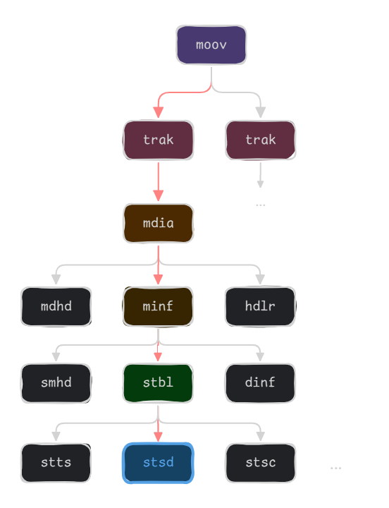 Path in MP4 file to reach stsd